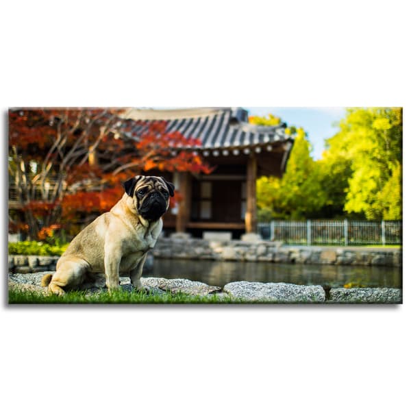 Canvastavla Djur Mops Hund 80x40 cm