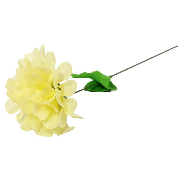 Yksi krysanteemi kermanvärisellä lehdellä 35 cm