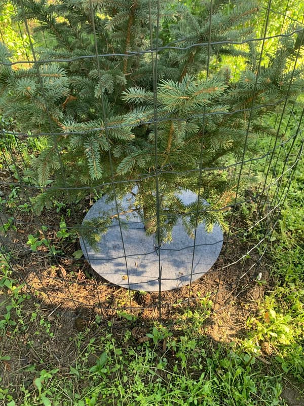 Set med 3 ogräsklipparskivor, mulching, grå, diameter 33 cm