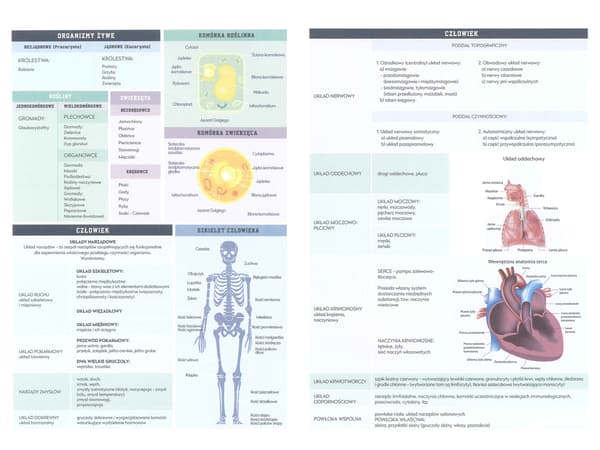 Interdruk A5 notesbog, 60 ark, biologi + snydeark