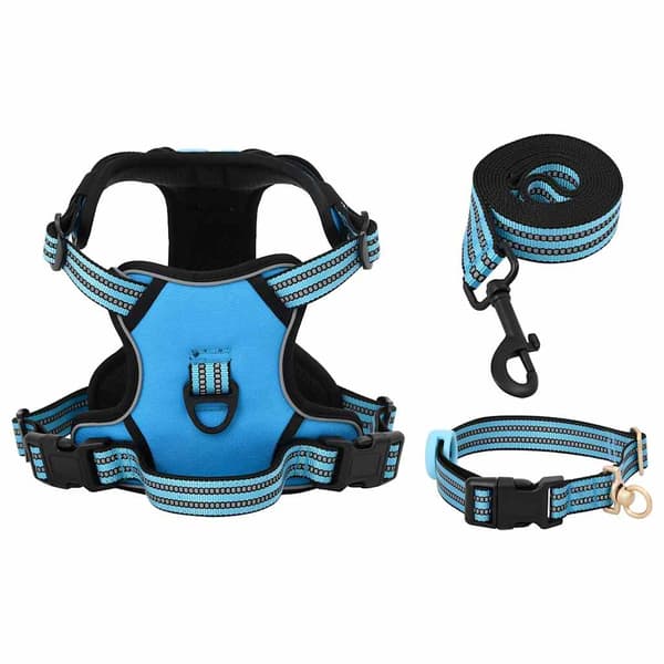 vidaXL justerbar hundesele, blå, XL