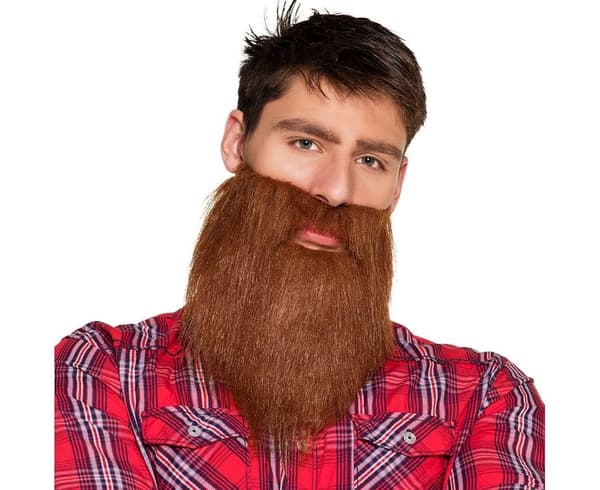 Hipsteriparta
