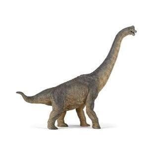 Brachiosaurus
