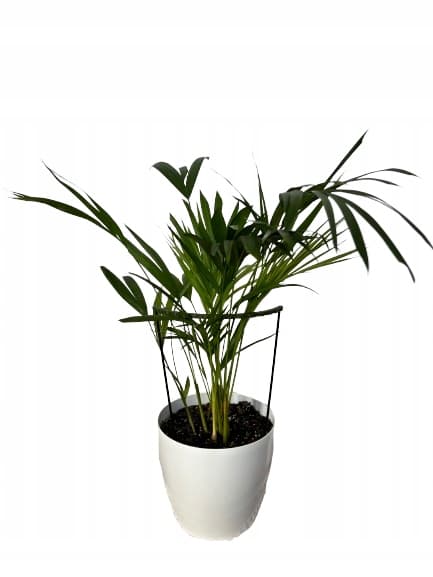 Støttering til blomsterplanter Klemmestøtte RING M 50x21cm