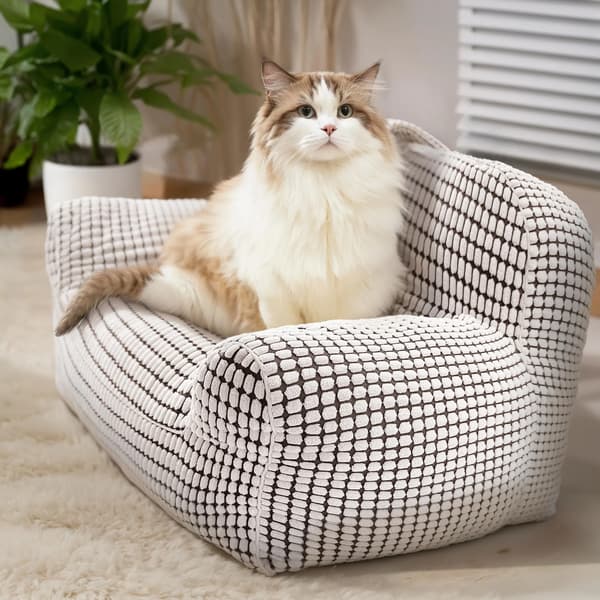 Premium avkopplande kattsoffa