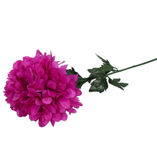 KRYSANTEMUMS ENKELTBLOMST DIAMANT 20 CM LYSERØD
