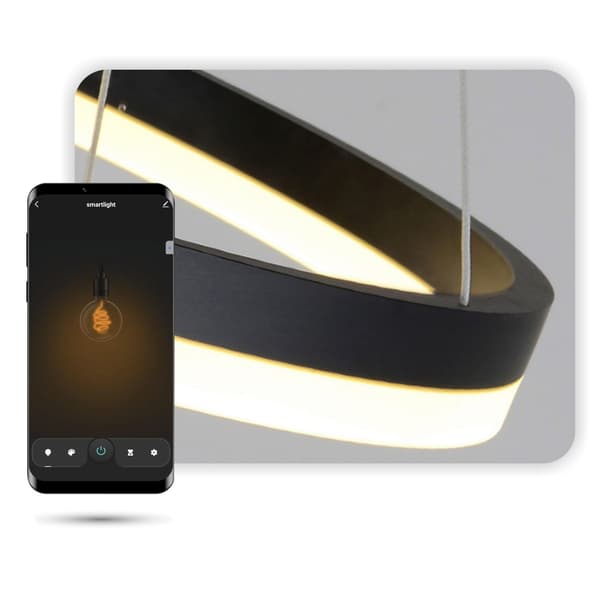 WiFi Tuya 40cm LED Rund Lampe Sort Hængende Ring Cirkel
