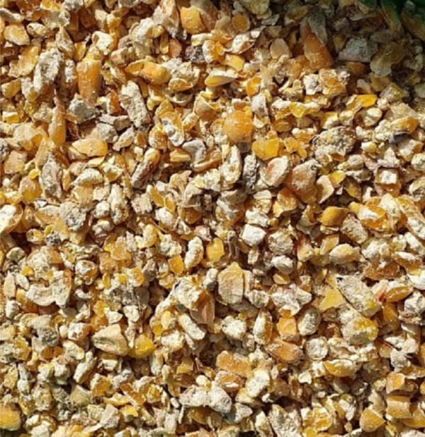 Knust majs 25 kg Agro Bracia