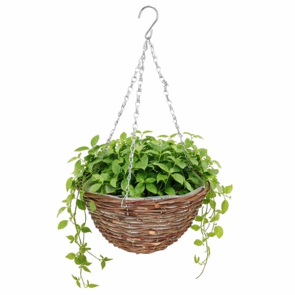 Hængende blomsterkurv i flet 25 cm
