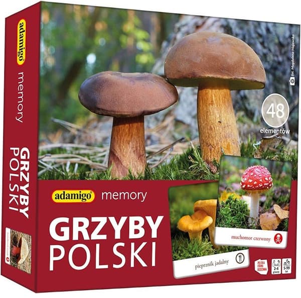 Minne. Polska svampar. Adamigo.