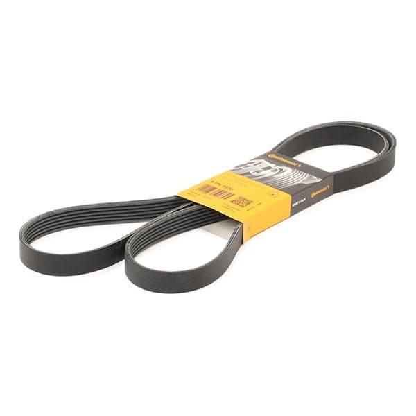 CONTITECH 6 PK 1830 moniurahihna