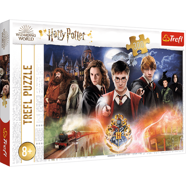 23001 "300" - Mystiska Harry Potter / Warner