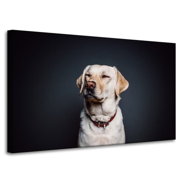 Lærredstryk Dyr Hund Sort baggrund 100X60