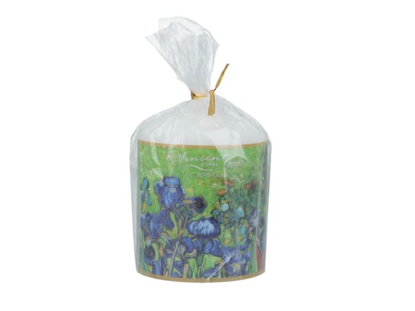 Ljus - V. van Gogh, Irisar (CARMANI)