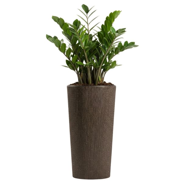 URBANIKA kaffe espresso blomkrukaset, 3 delar