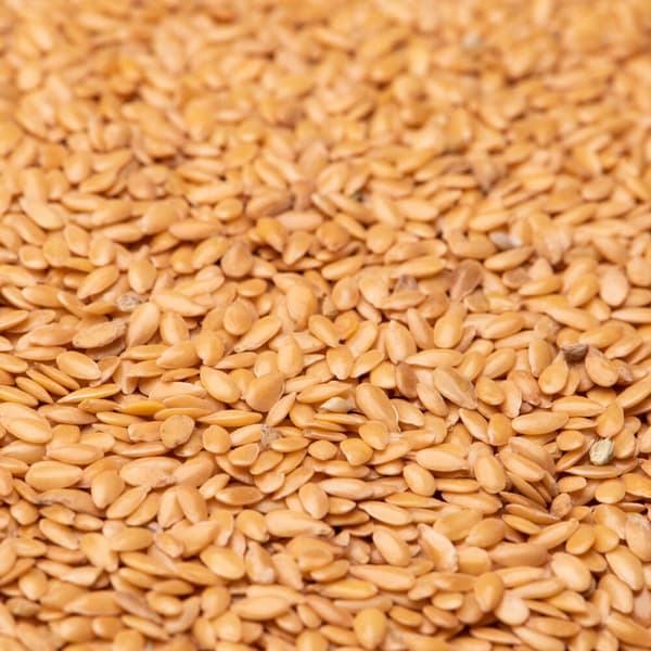Gyllene linfrön 1 kg