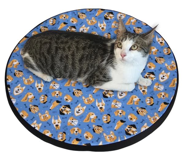 Kattbädd / Elastisk skummadrassring 55 cm Blå Hundar