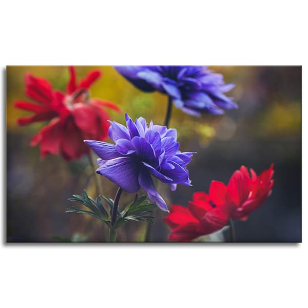 Canvastavla Botanik Vildblommor 100x60 cm