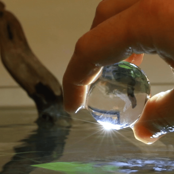 Evolution Aqua PURE BOMB - bakterier til at starte dit akvarium
