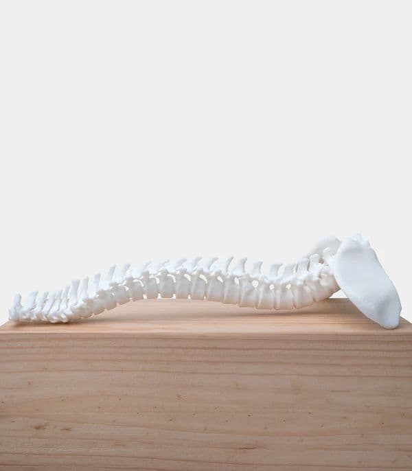 Phrozen Ceramic White BASF 3D-tulostushartsi 500ml