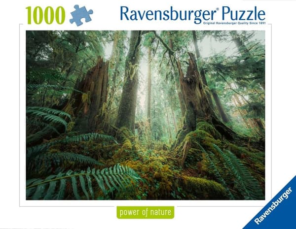 Puslespil 1000 Skove