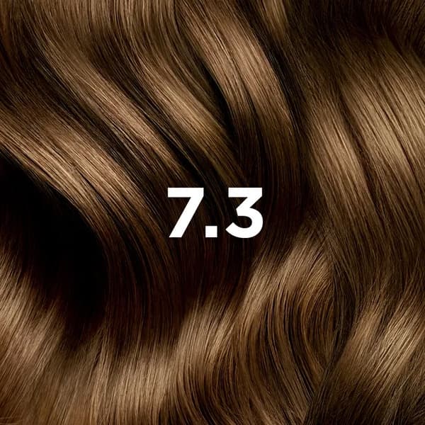 Phyto Color 7.3 Gyllenblond hårfärg