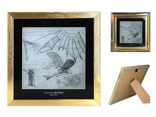 Billede - L. da Vinci, (carmani),