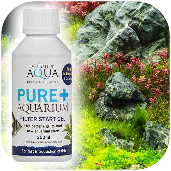 Evolution Aqua Pure+ Akvaario - bakteerit geelissä
