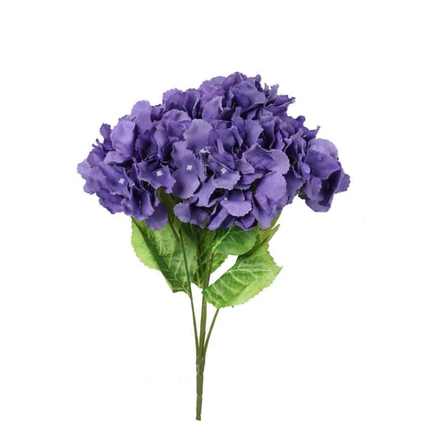 Kimpussa 5 violettia hortensiaa