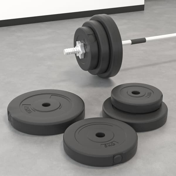 vidaXL vægtskiver, 6-pak, 30 kg, cement