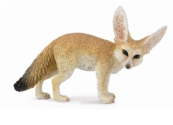 Collecta. Fennekkettu