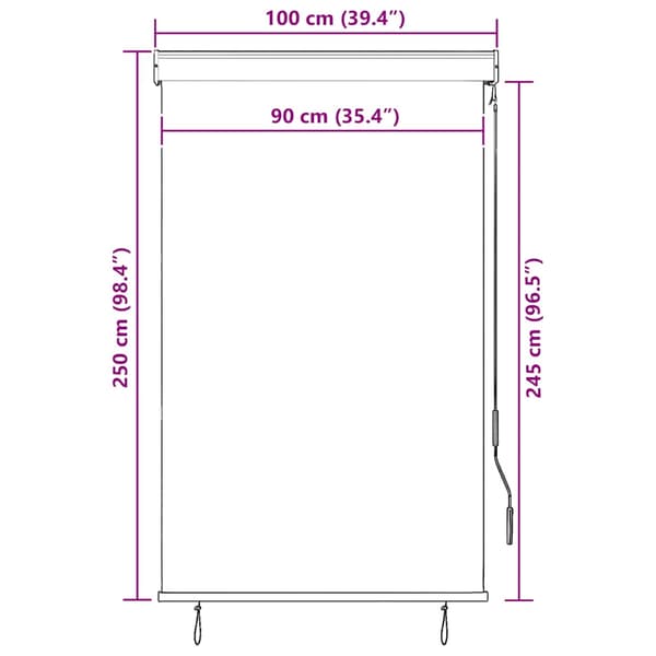 vidaXL Rullgardin, 100x250 cm, Antracit