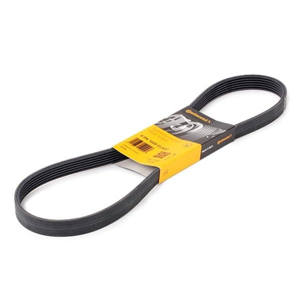 CONTITECH 6 PK 1029 ELAST flerribbat rem