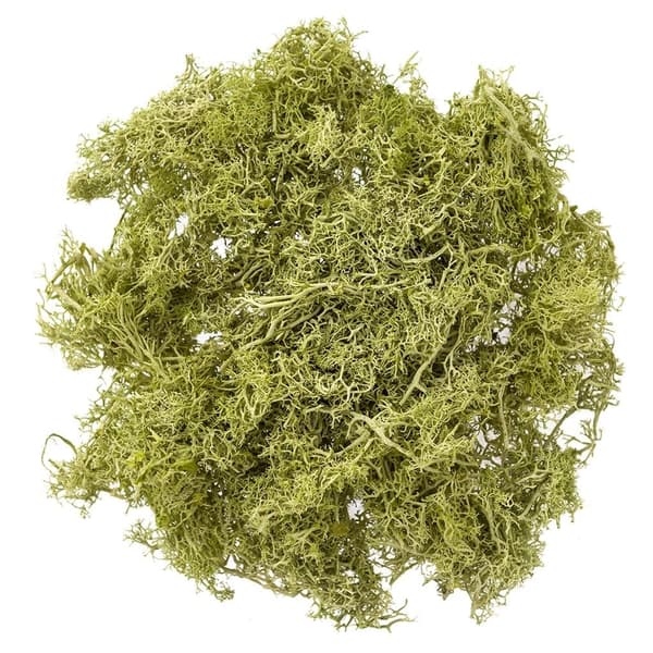 Vaaleanvihreä sammal 30g