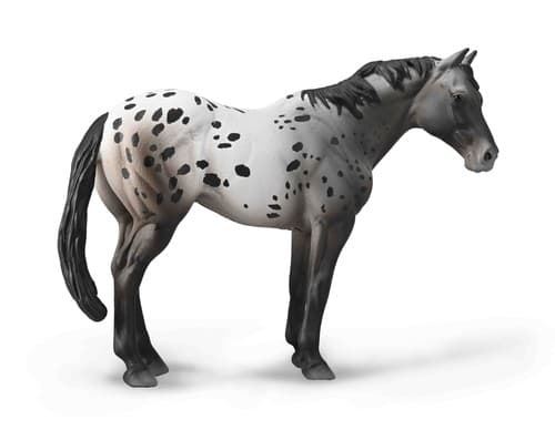 Collecta. Siniroo Appalossa