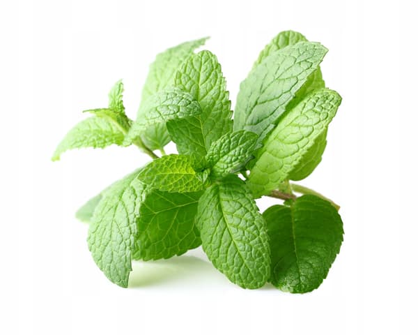 Super aromas Mint Ice -ruoka-aromi 10 ml