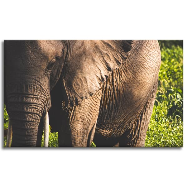 Lærredstryk Dyr Elefant Nærbillede 100x60