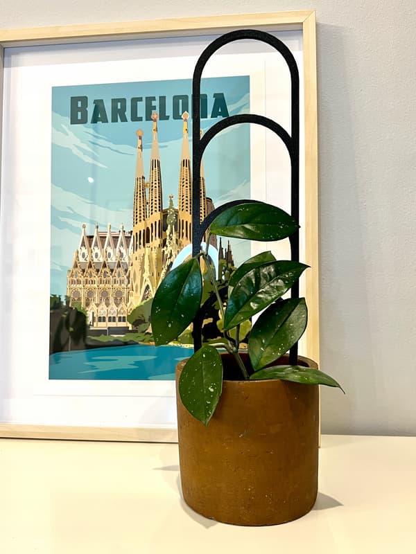 Stöd för klätterväxter Stöd för klätterblommor Pergolastege 38 cm