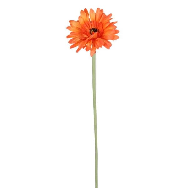 Enkel orange gerberablomma, 55 cm hög - Inredning