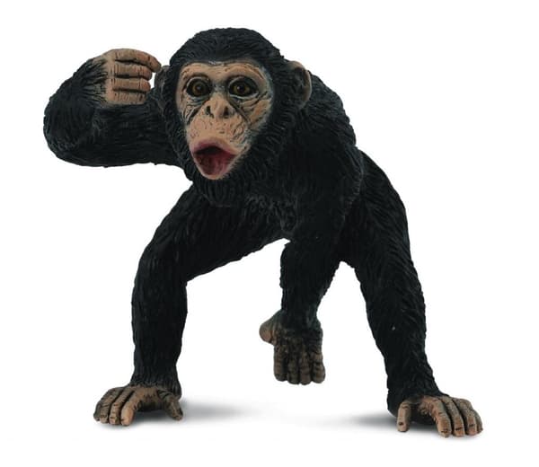 Hanchimpanse