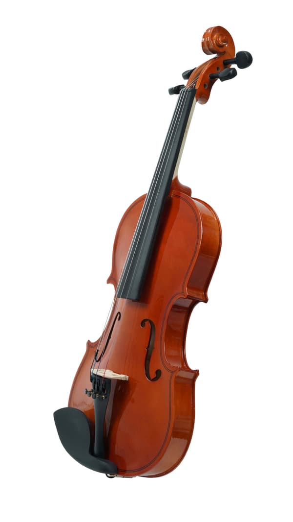 MM-VN100 SonataVibes 3/4 violin