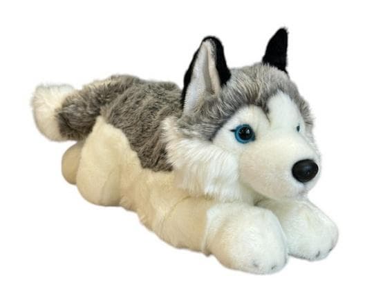 Husky hund 42 cm