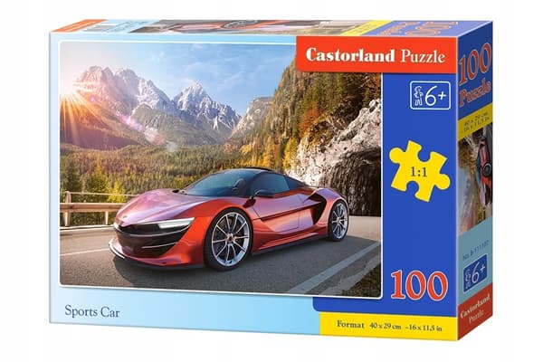 Puzzle 100 B-111107 Urheiluauto