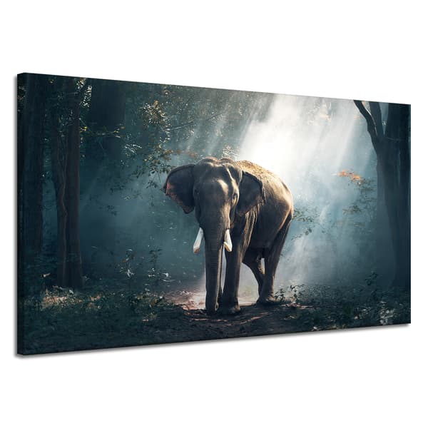 Canvastavla Djur Elefant 120x70 cm