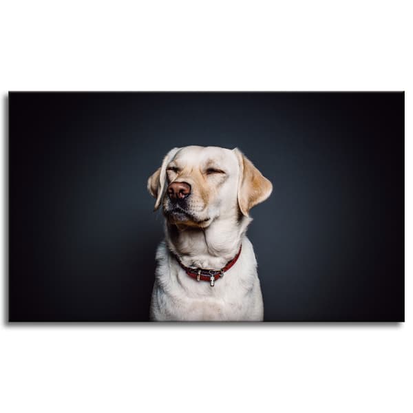 Lærredstryk Dyr Hund Sort baggrund 120X70