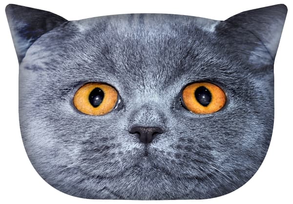 Resekudde med resårband Katt - Leon