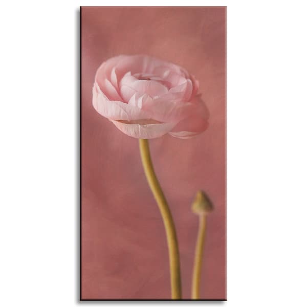 Canvastavla Botanik Rosa pion 40x80 cm
