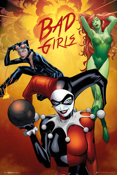 DC Comics - Badgirls Group