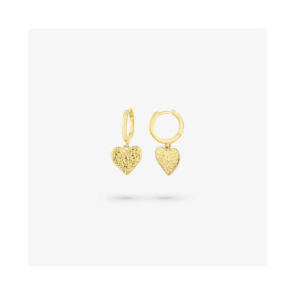 Øreringer for Kvinner Radiant RY000107