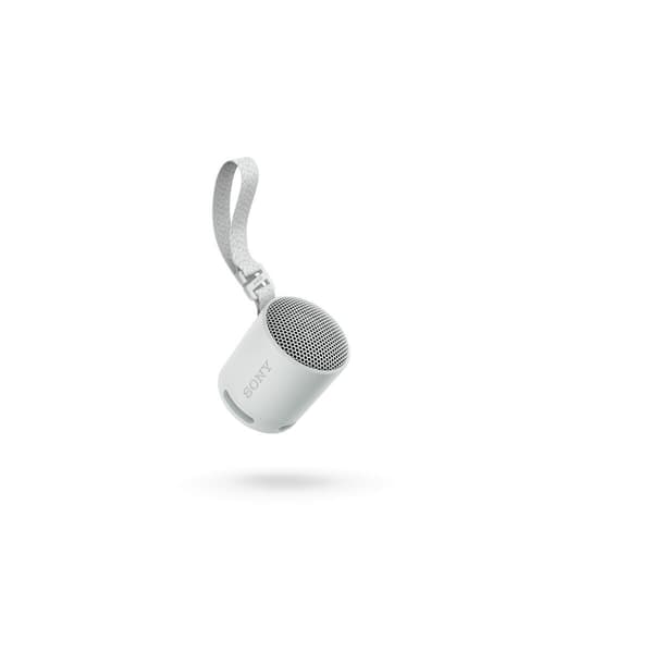 Bærbare Bluetooth-Høyttalere Sony SRSXB100H.CE7 Grå